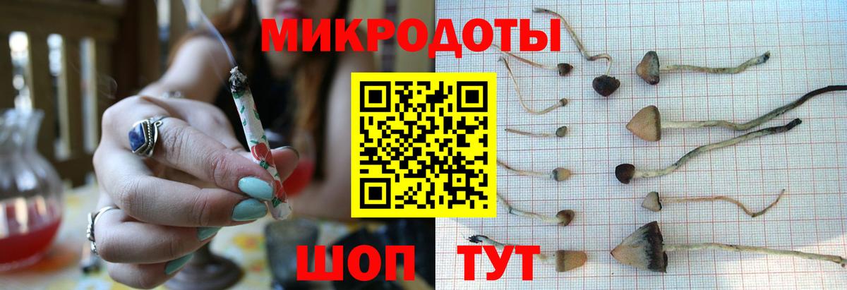 Котлас  где продают наркотики  Вход с VPN  Псилоцибиновые грибы мухоморы  Псилоцибиновые грибы Magic Shrooms 